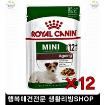 4개월강아지사료 애견사료추천 강아지키우는법 6개월강아지사료