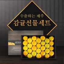 참다올 [참다올] 명품 제주 하우스 감귤 3kg(45과 내외), 단품