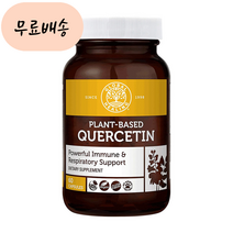 글로벌 힐링 퀘르세틴 60 개, 1개, 60개