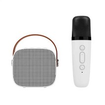 휴대용노래방기계 코인 이동식 가정용 무선 마이크와 음악 Mp3 플레이어 다기능 휴대용 블루투스 스피커 슈퍼 음질 가라오케 기계, 02, white