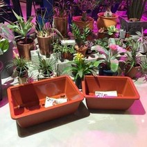 바퀴달린 이동형 플라스틱 상추화분 3호 텃밭 화단 pe