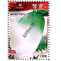 김장무씨앗 무우씨 무씨 가을무종자 청운무 8000립 팜한농, 1개