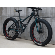 광폭타이어 MTB 하드테일 바퀴큰자전거 팻바이크, 21단화이트스포크 휠24인치