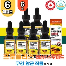 식약처 인증 캐나다산 비프로폴리스 6병 리퀴드 프로 플로 폴리 폴리스 플라보노이드 목이칼칼할때 목이물감 면역력높이는 목관리 구강 잔기침 환절기 구강항균 영양제 항산화 효능 추천 식품 BEE PROPOLIS 드롭스 드롭 액체형