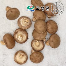 표고버섯생표고버섯 싸게파는 제품 중에서 다양한 선택지를 찾아보세요