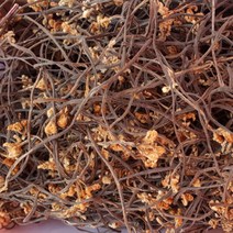 [지리산농부마을] 지리산 야생 고사리 건고사리 2022 햇고사리, 1개, 100g