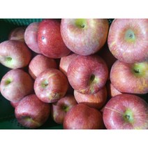 청송사과 5kg, 1box, 실속형 10kg(30~39과)
