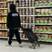 (당일출고) 바퀴달린 장보기 카트 시장바구니 쇼핑가방 접이식 마트용 캐리어, S클래스 카트