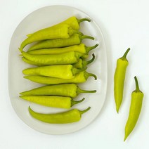 당조고추 1kg/2kg/3kg/5kg, 2kg, 1박스