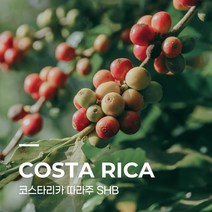 [생두] 코스타리카 따라주 SHB 1kg