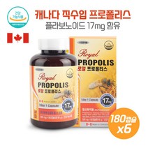 유해산소로부터 건강유지도움 캐나다 royal프로폴리스180캡슐X6개 하루1캡슐 항산화에도움 결정셀룰로스 탄산칼슘 캐나다제조직수입, 본문참고, 유해산소로부터 건강유지도움 캐나다 royal프로폴리스1, 본문참고