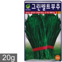 그린벨트 부추 씨앗 20g, 그린벨트부추
