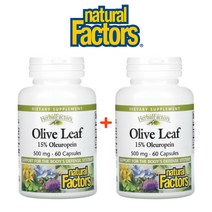 (1+1) 내추럴팩터스 올리브잎 추출물 올러유러핀 15% Oleuropein 500mg 파이토케미컬 피토케미칼 60캡슐 2팩, 2개