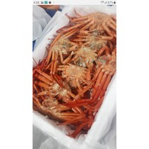 <후포리홍게> 가성비최고! 후포리홍게 3kg (10~15미) 17 900원!! 홍게자숙(찜)” class=”wr-img”></a></div></p></div></p></div></p></div><div class=