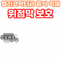 식약처 인증 헬리코박터균 증식 억제 위 점막 벽 보호 건강엔 스페인 감초 추출물 뉴트리가든 비타민 A C E 영양제 미네랄 아연 셀렌 함유 면역 식약청 인정 직장인 학생 프리미엄, 30캡슐x9박스 9개월