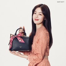 세인트스코트 브리엘 미니 닥터백