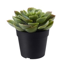 IK870 이케아 FEJKA 페이카 인조식물 실내외겸용 다육식물 9cm, IK870인조다육식물