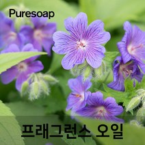퓨어솝 제라늄(Geranium) 프래그런스오일 (인공향 캔들 디퓨저 방향제) 캔들 디퓨져 화장품 만들기, 30ml