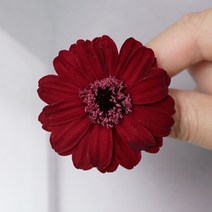재료 꾸러미 백일 국화 장미 영생화배 꽃 스위트 농원 DIY 대지 소국 4695479449, 한 송이 와인색 03461 -471