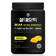 뉴트리커먼 삼대오백 BCAA 크레아틴 유신 망고맛 500g