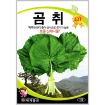 곰취 씨앗 100립/산채나물 종자, 1개