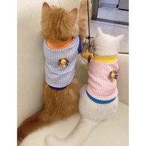 꼬송 스마일크롭티 2color 강아지 여름옷 편한옷 나시, 오렌지