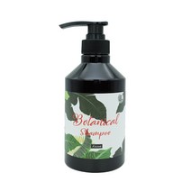 에이썸 보태니컬 사춘기 청소년 샴푸 500ml 정수리냄새 비듬 케어 전문, 2개