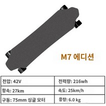 전동 스케이트보드 입문용 초보 전기 롱 숏 리모컨 스케이트 보드 원격, A.M7