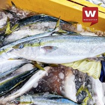 외갓집 [진심수산] 활 중대방어회 필렛 600g 3-4인분 (진공포장)/삼둥이초장포함