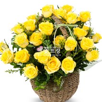 꽃뜨랑 생화꽃바구니 케익 생일선물 개업꽃 축하선물 전국당일꽃배달, B08 골든레이디