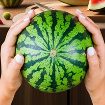 [특등급] 가락청과네 애플수박 8.5kg 수박화채 화채 수박화채만드는법 고창수박 무등산수박 고당도수박, 상세페이지 참조