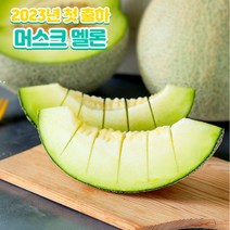 2023년 첫출하 고당도 전라남도 머스크 멜론 1.2~1.6kg(특) 1.6kg~2.0kg(특대), 1.2kg~1.6kg (특), 3개