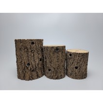 국내산 참나무 산란목, 산란목 소(80x110내외)