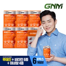 GNM 루테인11 6박스 비타민 6종 + 미네랄 4종 눈건강 비타민B 아연 엽산, 단일속성, 선택완료