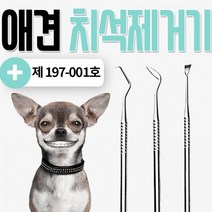 애완 치석제거기 셀프 스케일링 입냄새 강아지, C형