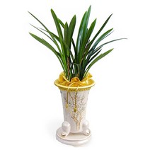 플라워리퍼블릭 산천보세8 kj1 화분배달 동양란 동양난 취임 전국