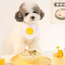 강아지 입맛 회복 보양식 삼계탕 댕댕이스프 애견스프
