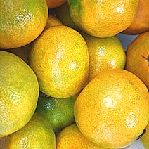 제주 하우스 감귤 중과 2kg 국내산 당일수확 산지직송 못난이 감귤 가정용 프리미엄 선물용 Tangerine Mandarin, 하우스 감귤 2kg 중과, 1개