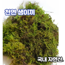 천연생이끼120g 털깃털이끼 고급화분장식 테라리움 풍란 석 목부작 분재 분경마감 원예 정원조경 수삼장식