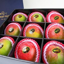 페루 프리미엄 애플망고 9과(대과) 선물세트