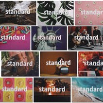 스탠다드 더스트 코일 매트 현관 발코니 베란다, Standard-0001
