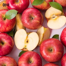 인기 있는 사과먹는소리 인기 순위 TOP50 상품을 놓치지 마세요