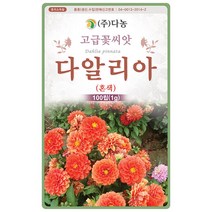 왜성겹 해바라기 50립 - 야생화 씨앗 꽃씨 씨 꽃씨앗 야생화씨앗 고급꽃씨 고급꽃씨앗 테디베어해바라기 만첩해바라기, 03_다농_다알리아(혼색)(100립)