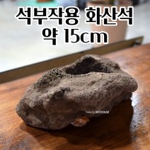 석부작 화산석 난분 화분돌 (2호.중) 약 15CM