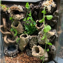 테라블록 3045 코르크튜브 정글 세트 (정글자석블록), 철지 백스크린 비고정형(찍찍이 벨크로 테잎 동봉)