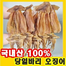당일바리 국산 마른오징어 마른 안주 마른 건오징어, 당일바리 오징어 소 1봉5마리
