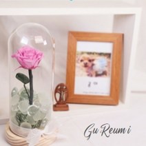 시둥마켓 +[시둥마켓]+_ 체중계 강아지용체중계 수컷용기저귀 배변용품 애완동물체중계, 구름아이 강아지 고양이 유골함 메모리얼스톤 장례