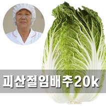 [무르지않고 맛있는배추]속노란 맛난배추 괴산 절임배추 20kg, 2월 26일발송-27일도착