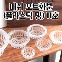 수경재배화분 매쉬 포트형 난화분 플라스틱망 11호 심플한화분 깔끔한화분 계절