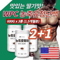 코스트코 단백질 쉐이크 프로틴 여자 남자 벌크업 운동보조제 딸기맛 초코맛 농축유청단백질 분말 가루 필수아미노산 비타민, 600g, 3통(초코맛)